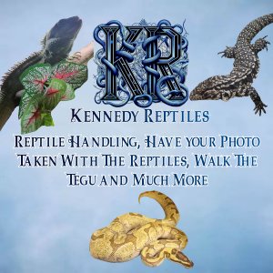 Kennedy Reptiles
