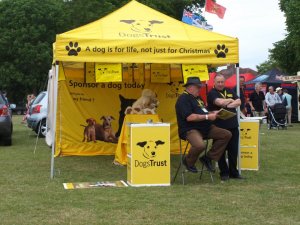 charity link obo dog trust